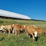Κατάλυμα σε φάρμα Ranci V Busi - Ve Srubu Cim