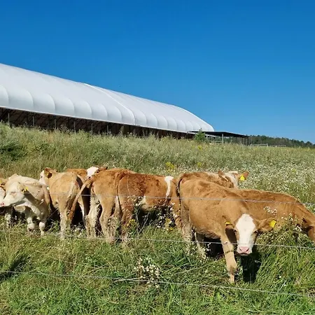 Alojamento de Turismo Rural Ranci V Busi - Ve Srubu Cim