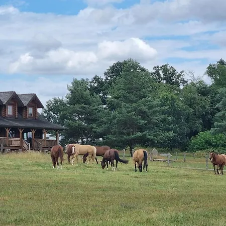 Alojamento de Turismo Rural Ranci V Busi - Ve Srubu *