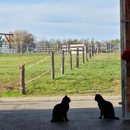 Alojamento de Turismo Rural Ranci V Busi - Ve Srubu Cim